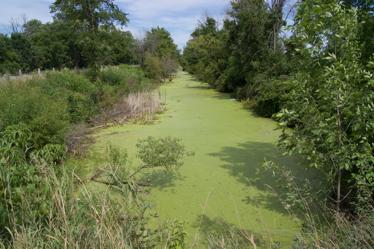 Feeder Canal